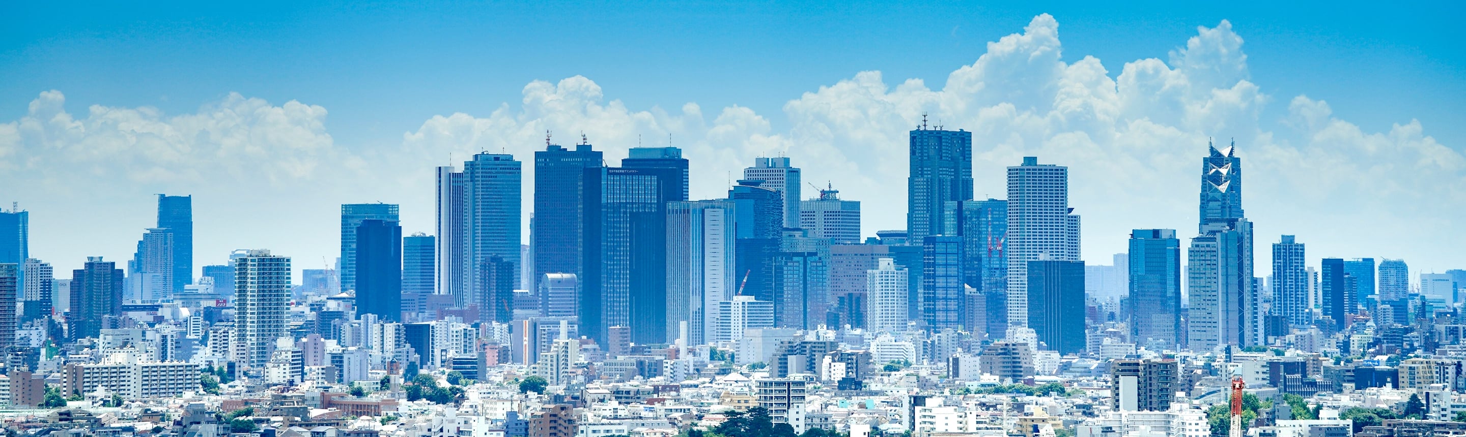 ソリューション